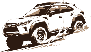 Endurance Rally Cars